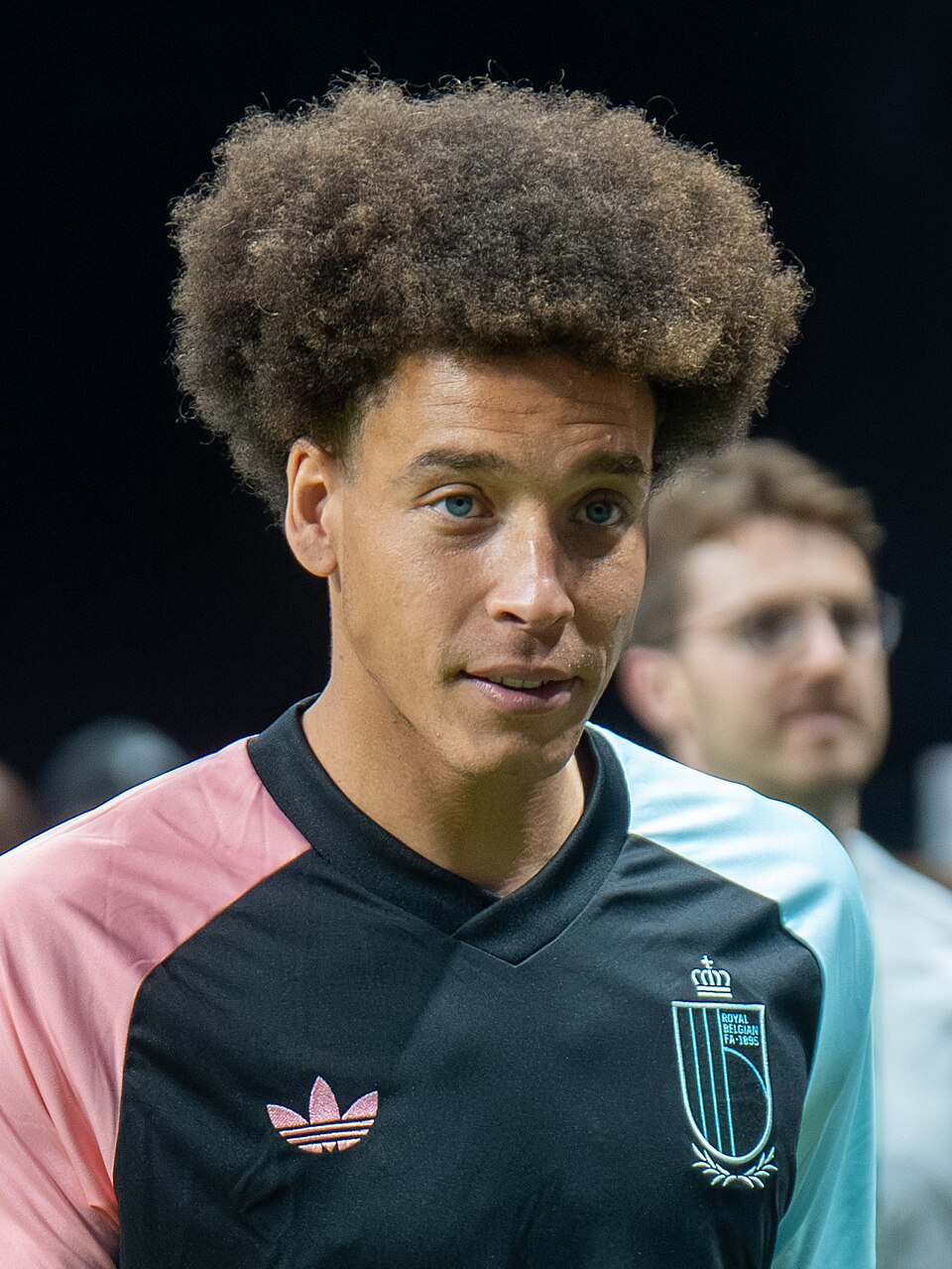 Axel Witsel, photographie