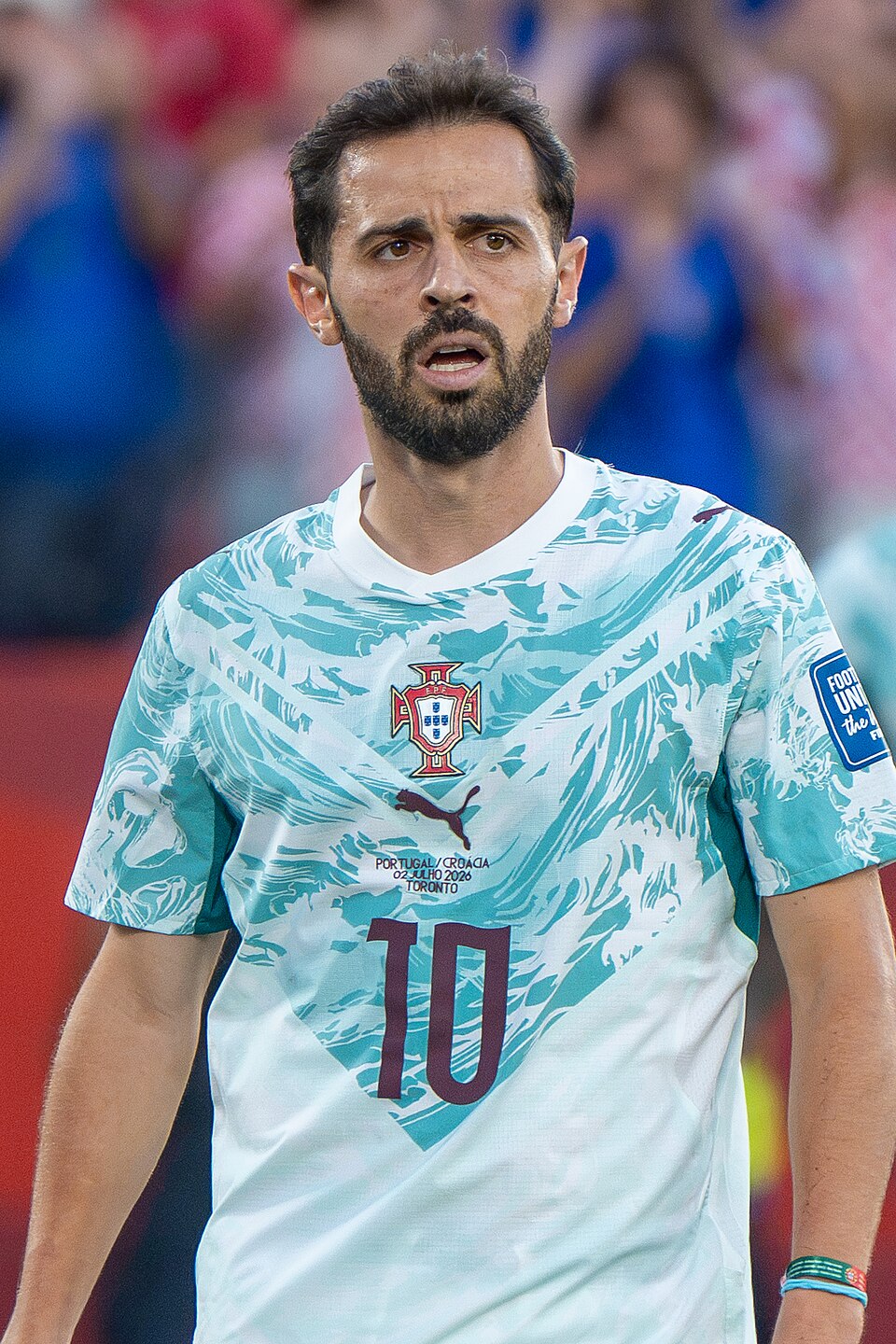 Bernardo Silva, photographie
