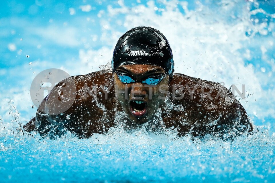Championnats du monde de natation, photographie