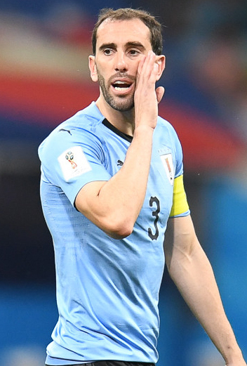 Diego Godín, photographie