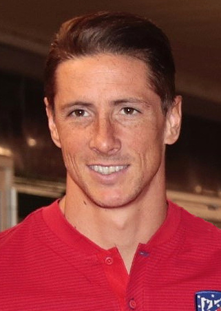 Fernando Torres, photographie