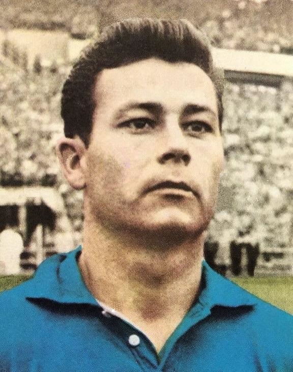 Just Fontaine, photographie