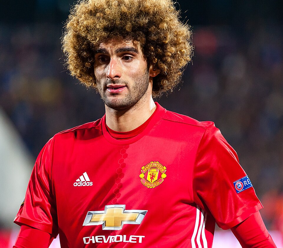 Marouane Fellaini, photographie
