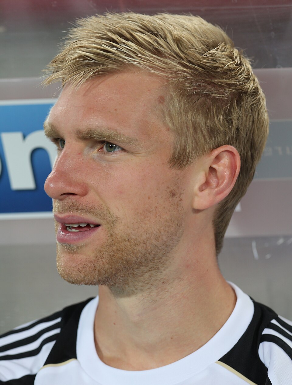 Per Mertesacker, photographie