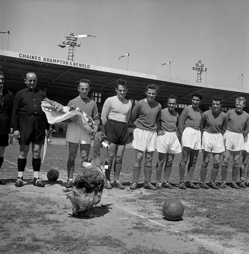 Toulouse Football Club, photographie