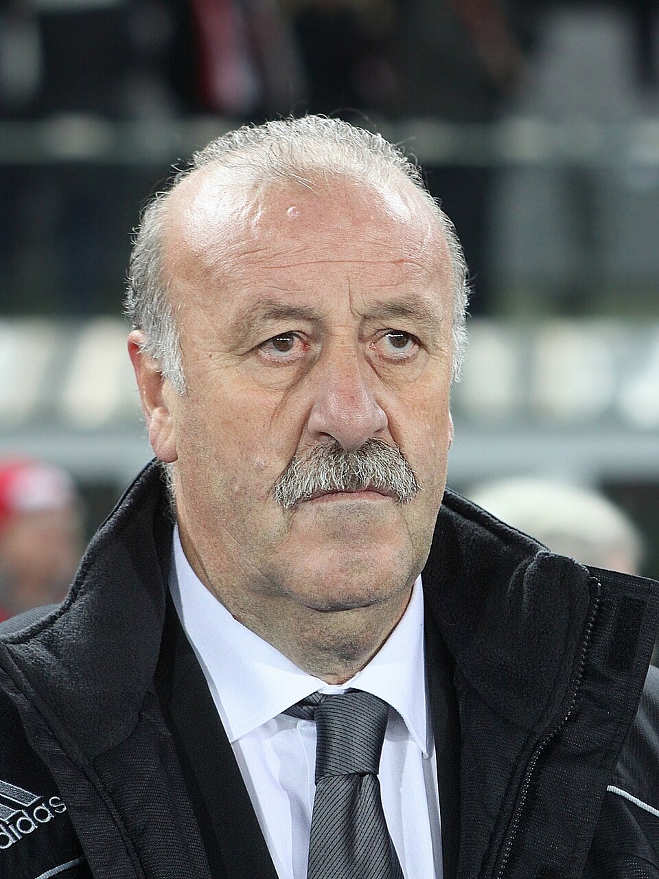 Vicente del Bosque, photographie