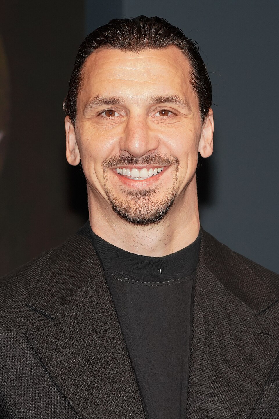 Zlatan Ibrahimović, photographie